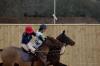 Oxford Polo 2023_01_29 0088